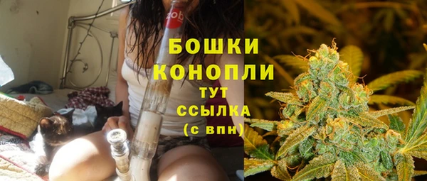 трава Алзамай