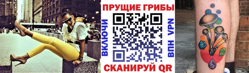 Галлюциногенные грибы Psilocybine cubensis  Тара 